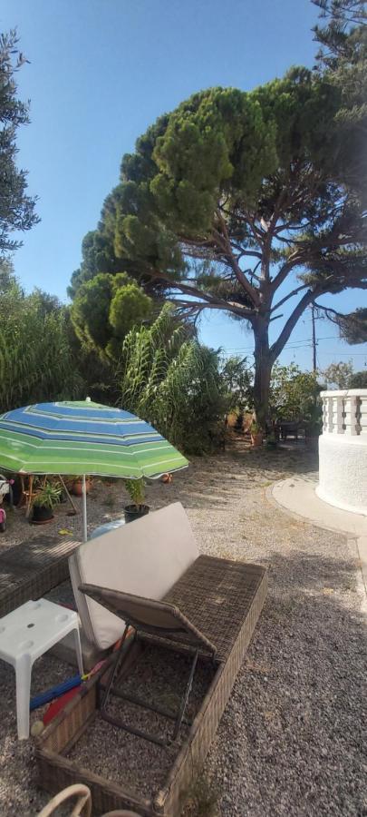 Azalea Garden Apartment With Mountain View Κρεμαστή Εξωτερικό φωτογραφία