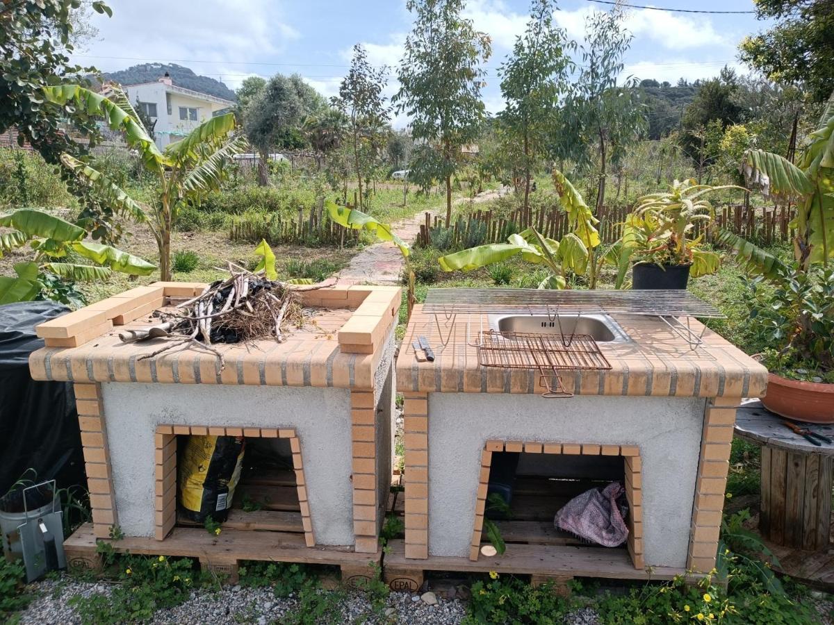 Azalea Garden Apartment With Mountain View Κρεμαστή Εξωτερικό φωτογραφία