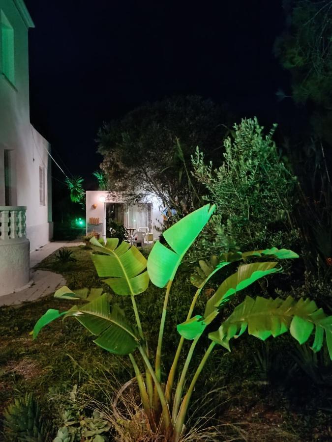 Azalea Garden Apartment With Mountain View Κρεμαστή Εξωτερικό φωτογραφία