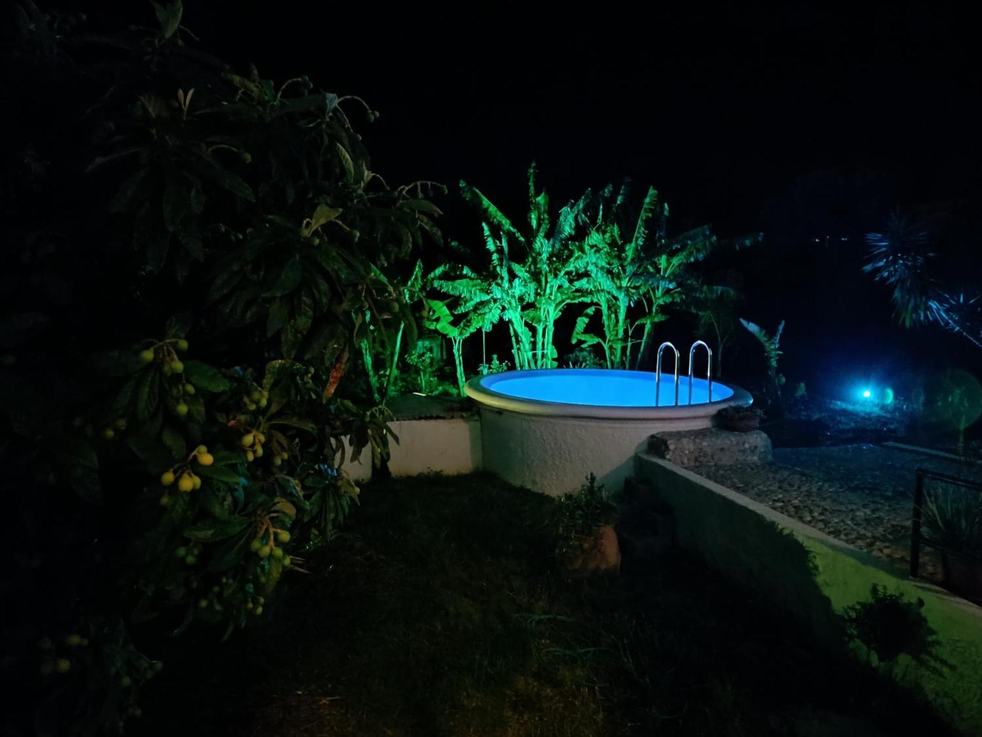 Azalea Garden Apartment With Mountain View Κρεμαστή Εξωτερικό φωτογραφία